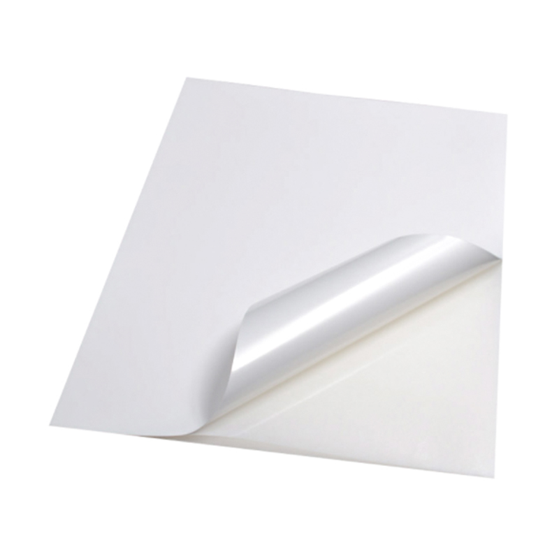 Matt White Synthetic PP Adhesive Paper