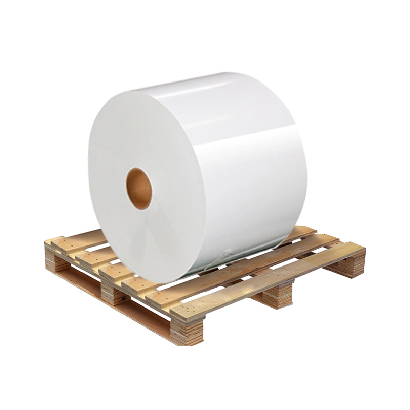 2GO Repositionable Label Paper - 24 Rolls White With Dual Edge Adhesive For Most Printers