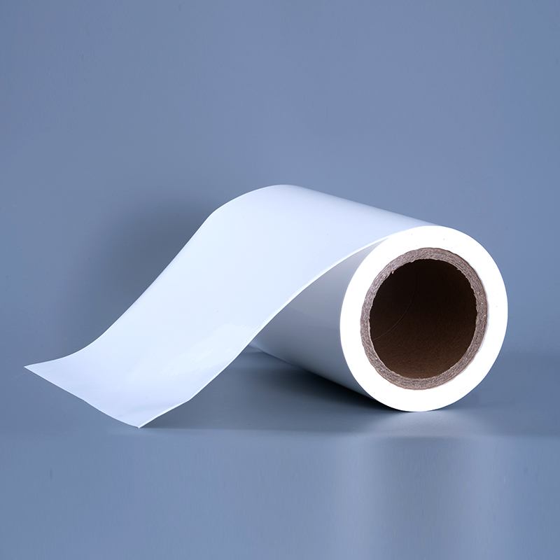 25mic Gloss PET Vinyl Film Label Materials with Acrylic Adhesive Jumbo Roll for Inkjet Printing